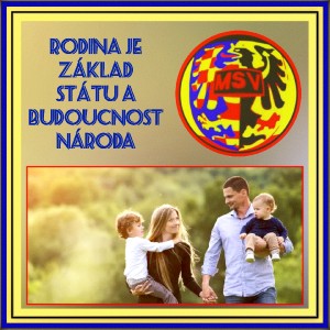polish_20230907_233406165.jpg