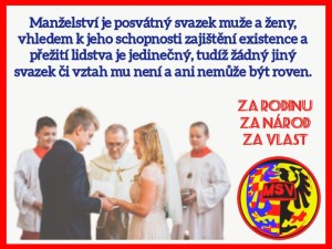 polish_20230918_221339063.jpg