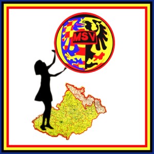 polish_20230918_221416145.jpg