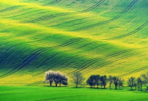 bigstock-beautiful-spring-landscape-wit-360492913_1.jpg
