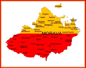 polish_20231115_192412597.jpg