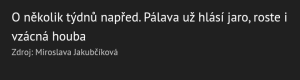 polish_20240304_022529248.png