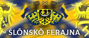 polish_20240330_012855988.png