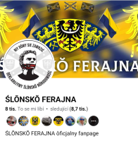 polish_20240330_012720828.png