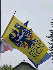 1712685397344.jpg
