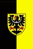 polish_20240409_235607803.jpg