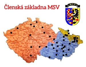 polish_20241107_031020259.jpg
