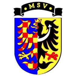 polish_20241114_035831326.jpg