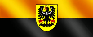 polish_20241215_185911650.png