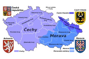 polish_20230718_232301421.jpg