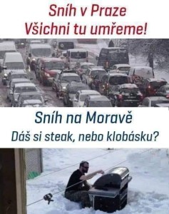 fb_img_1690404497867.jpg