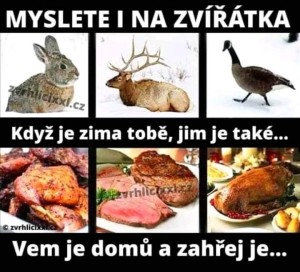 fb_img_1690404473769.jpg