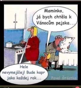 fb_img_1690404408021.jpg