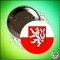 polish_20230812_224455265.jpg