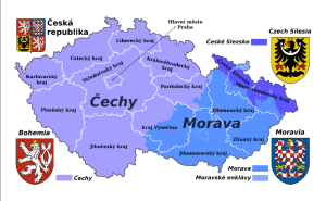 polish_20230823_005923302.png
